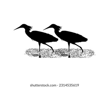 Pair of The Black Heron Bird (Egretta Ardesiaca), also known as the Black Egret Silhouette for Art Illustration, Logo, Pictogram, Website, or Graphic Design Element. Vector Illustration