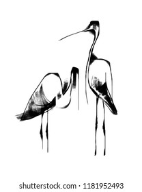 a pair of black and white herons, stylized vector illustration