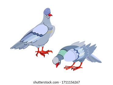 a pair of blue city doves, funny character, color vector illustration isolated on a white background in scandinavian, cartoon & flat style