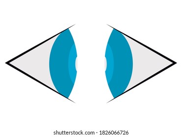 Pair of blue eyes on white background.