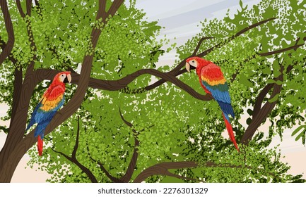 A pair of brightly colored scarlet macaw parrots sits in the crown of a tropical tree. South America and Africa. Realistic vector landscape