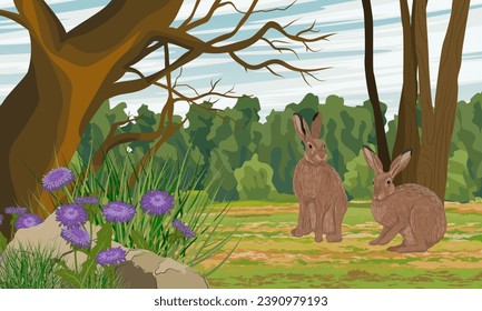 A pair of brown hares are sitting in a clearing in the forest. Animals of Europe. Realistic vector landscape