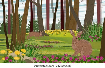 A pair of brown hares walks through a forest. Blooming summer forest. Animals of Europe. Realistic vector landscape