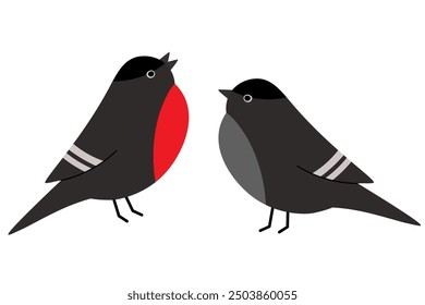 A pair of bullfinches on a white background. Red-breasted winter birds. Vector graphics.