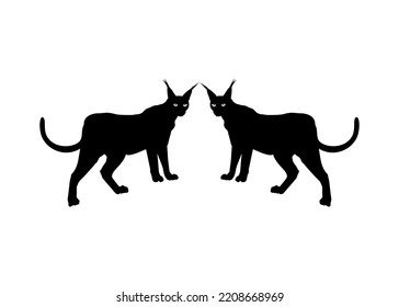 Pair of the Caracal Cat Silhouette for Art Illustration, Logo, Pictogram, Website or Graphic Design Element. Vector Illustration