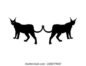 Pair of the Caracal Cat Silhouette for Art Illustration, Logo, Pictogram, Website or Graphic Design Element. Vector Illustration