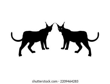 Pair of the Caracal Cat Silhouette for Art Illustration, Logo, Pictogram, Website or Graphic Design Element. Vector Illustration