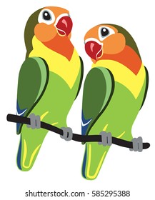 pair of cartoon parrots Fischer lovebirds agapornis isolated on white