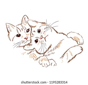 pair cat love  vector sketch illustration card isolated