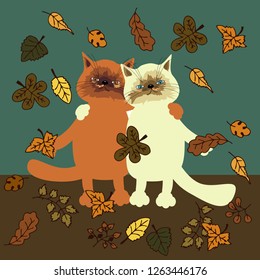 pair of cats in autumn