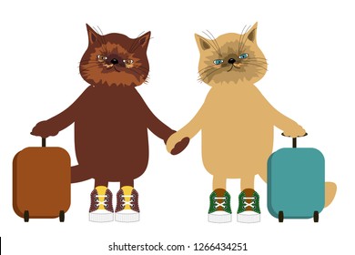 pair of cats with baggage