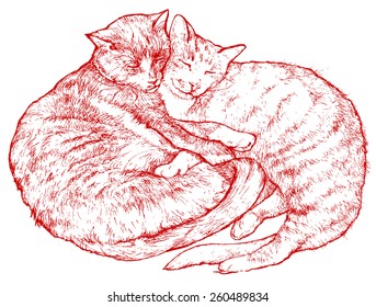 A pair of cats  in an embrace - vector illustration isolated on white, stylized as engraving