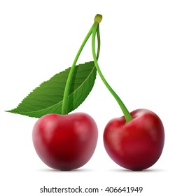 Pair of cherries fruits close up. Cherry with leaf isolated on white background. Vector illustration