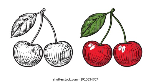 Pair of cherries. Hand drawn fruit isolated vector illustration