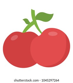 Pair of cherries, healthy fruit