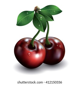 Pair of cherries isolated on white background. Vector illustration.