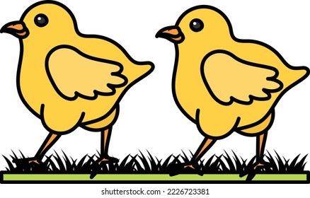 Pair of chicks Concept, pullets or Baby free range chicken vector color icon design, Poultry farming symbol, Meat or Eggs Production Sign, Protein and farmyard equipment stock illustration