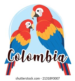 Pair of colored tropical parrots Colombia Vector illustration