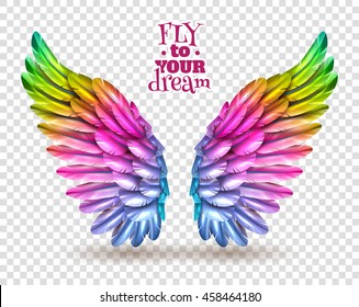 Pair of colorful bird wings set isolated on transparent background with shadow flat vector illustration