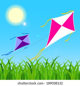 a pair of colorful kites fly on a blue sky during a clear sunny day