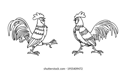 a pair of combat roosters, farm birds, vector illustration with black ink contour lines isolated on a white background in doodle and hand drawn style