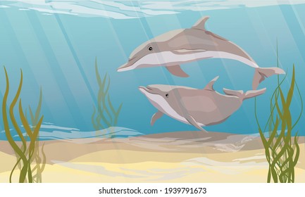 A pair of Common bottlenose dolphin swim in warm sea water with green algae. The bottom of the sea or ocean. Dolphins Tursiops truncatus in different poses. Realistic vector underwater landscape