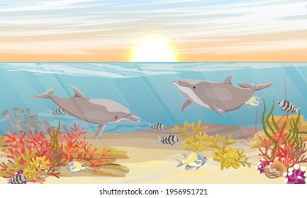 A pair of Common bottlenose dolphin Tursiops truncatusswim underwater. The bottom of the tropical sea with corals, fish and algae. Sea surface at sunset. Realistic vector landscape