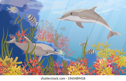 A pair of Common bottlenose dolphin Tursiops truncatus swims near a coral reef. Sea bottom with corals, algae and tropical fish. Realistic vector underwater landscape