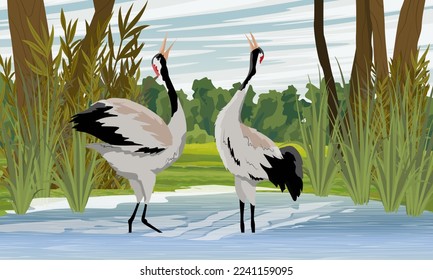 A pair of common cranes dance in a forest lake. Wildlife of America and Europe. Realistic Vector Vertical Landscape