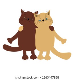 pair of cute cats on white background 