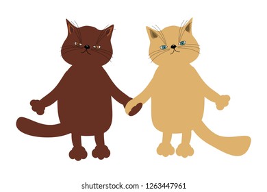 pair of cute cats on white background 