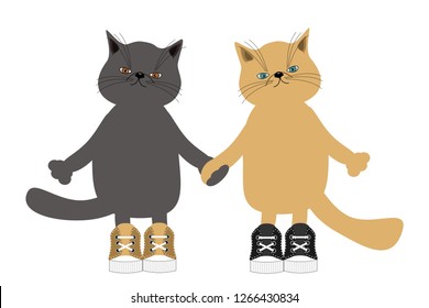 pair of cute cats on white background 