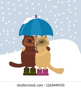 pair of cute cats in winter day with umbrella