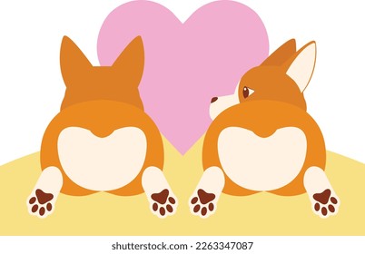 a pair of cute corgis with fluffy round bottoms
