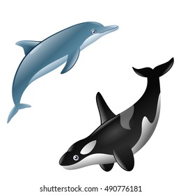 a pair of cute dolphin and killer whale