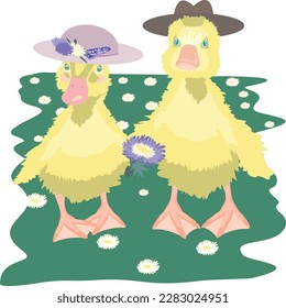 Un par de bonitos patos con sombreros.