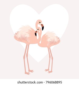 Pair of cute flamingos 