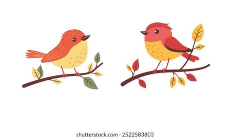 A Pair of Cute Orange Robin Bird Animal Perched on Tree Branch