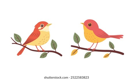 A Pair of Cute Orange Robin Bird Animal Perched on Tree Branch