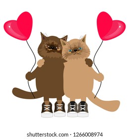 pair of cute persian cat with heart balloons