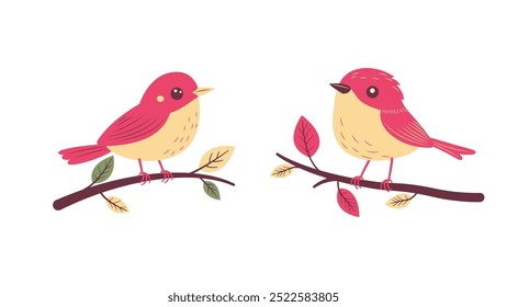 A Pair of Cute Red Robin Bird Animal Perched on Tree Branch