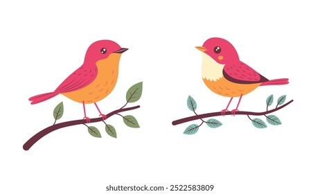 A Pair of Cute Red Robin Bird Animal Perched on Tree Branch