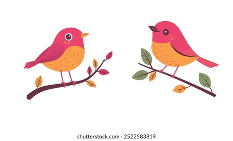 A Pair of Cute Red Robin Bird Animal Perched on Tree Branch