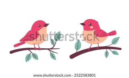 A Pair of Cute Red Robin Bird Animal Perched on Tree Branch