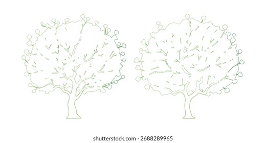 Un par de árboles caducifolios con follaje verde y ramas desnudas. Contorno de árbol, árbol verde, ramas desnudas, árbol caducifolio, árbol frondoso.