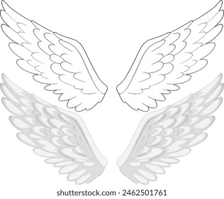 Pair of detailed white angel wings