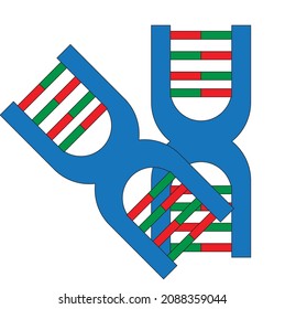 A pair of dna genes 