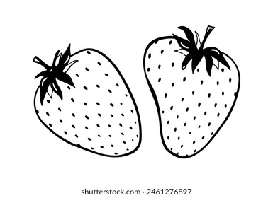 Pair of doodle strawberry vector illustration. Black hand drawn abstract fruit with leaves. Sketch berry drawing