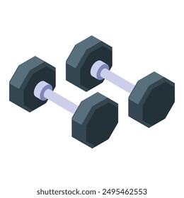 Pair of dumbbells is lying on the floor, showing their isometric projection
