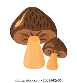 Pair of edible porcini mushrooms. Wild bolete mushrooms for preparing aromatic dishes. Simple color cozy illustration. Hand drawn cartoon vector isolated on white background